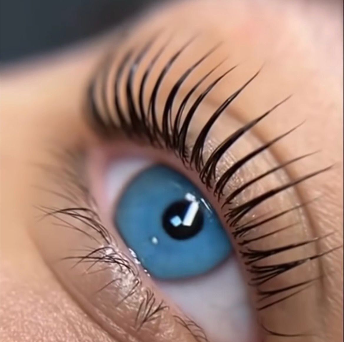 Korean Lash Lift -hoidon tulos lähikuvassa